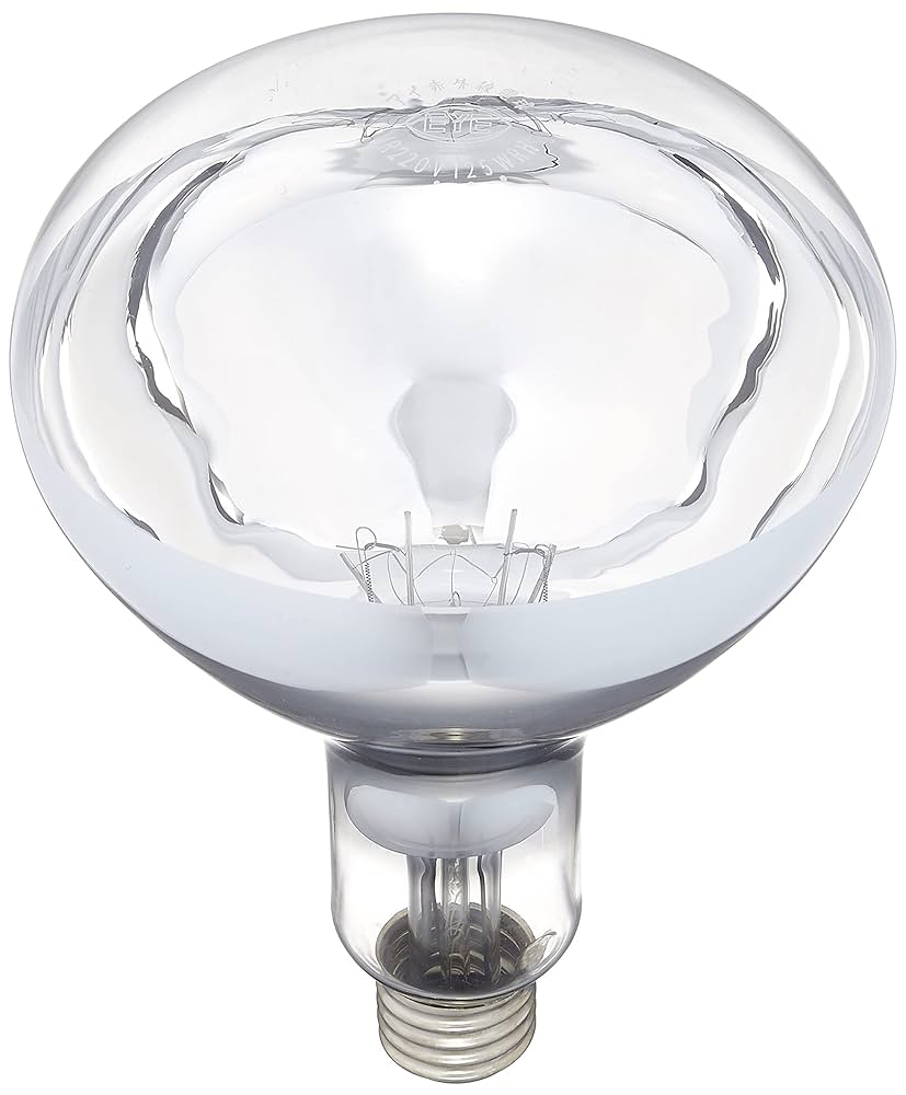 岩崎電気 噴水・水中用照明 白熱電球 PAR110V150W 2個 岩崎電気シールドビーム電球が生産終了！代替LED水中照明をお